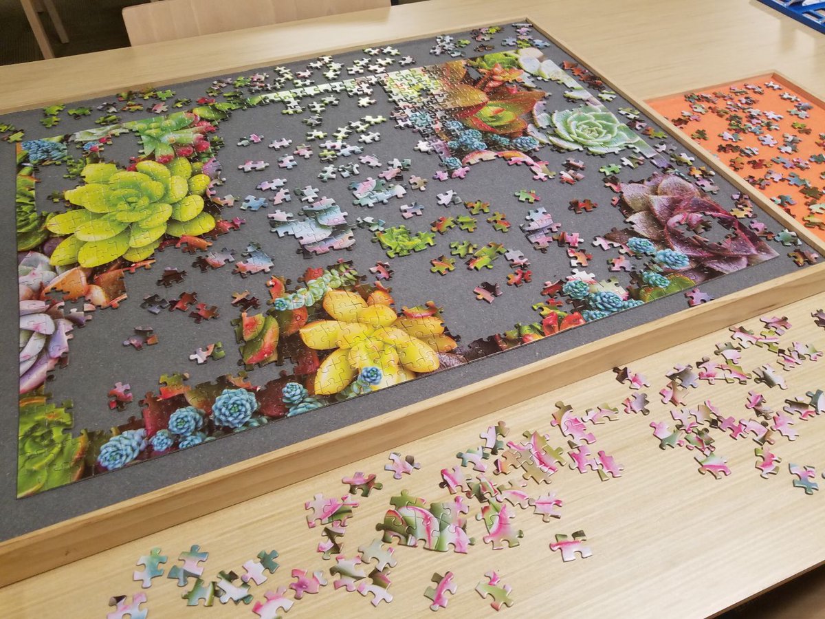 Take a look at this beautiful puzzle of #succulentplants currently being worked on by enthusiastic patrons at #SebastopolRegionalBranchLibrary