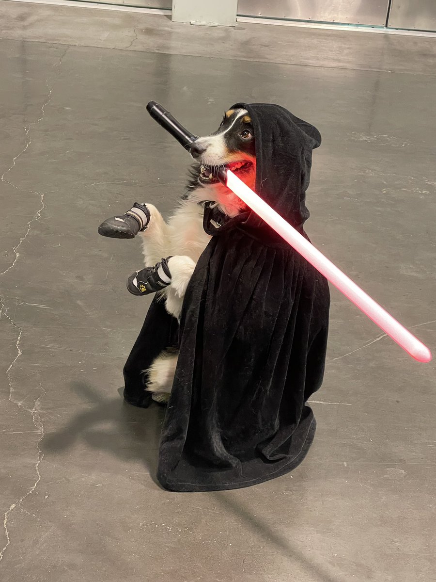 mrichert's tweet photo. The best cosplay I’ve seen all day, maybe ever. #WonderCon #TheBarkSide https://t.co/xqFFnR9u7s