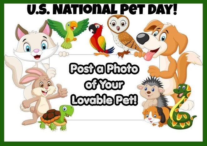 It's National Pet Day! We would love to see your lovable pets! Post photos here!
#RashcoFarmSupply #rashcofarmsupply #PetDay #petday2024 #petday #doodles #doodlepups #DoodlesOfRashco #KimberBear #CloverBug