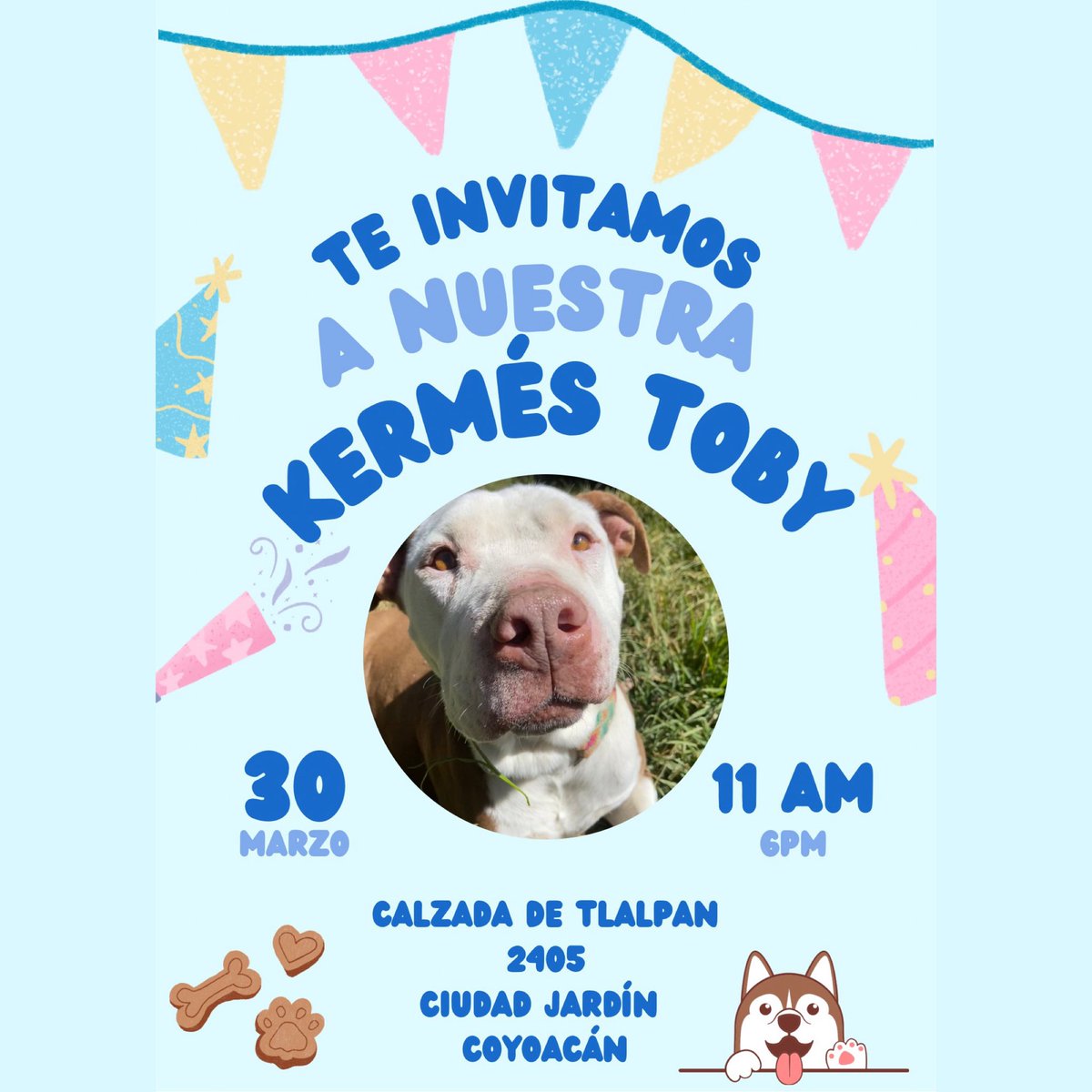 Amigos!!! Los esperamos mañana en la Kermés Toby 🐶🫶🏻🥰 Estamos muy emocionadas y esperamos ver a muchos de ustedes por allá 🐶🫶🏻🙏🏻🥹🙌🏻🩷 Hoy compramos muchas cositas para mañana y nos la hemos pasado horneando deliciosos postres amigos 🤤🤤🤤 Aquí no paramos nunca!!!