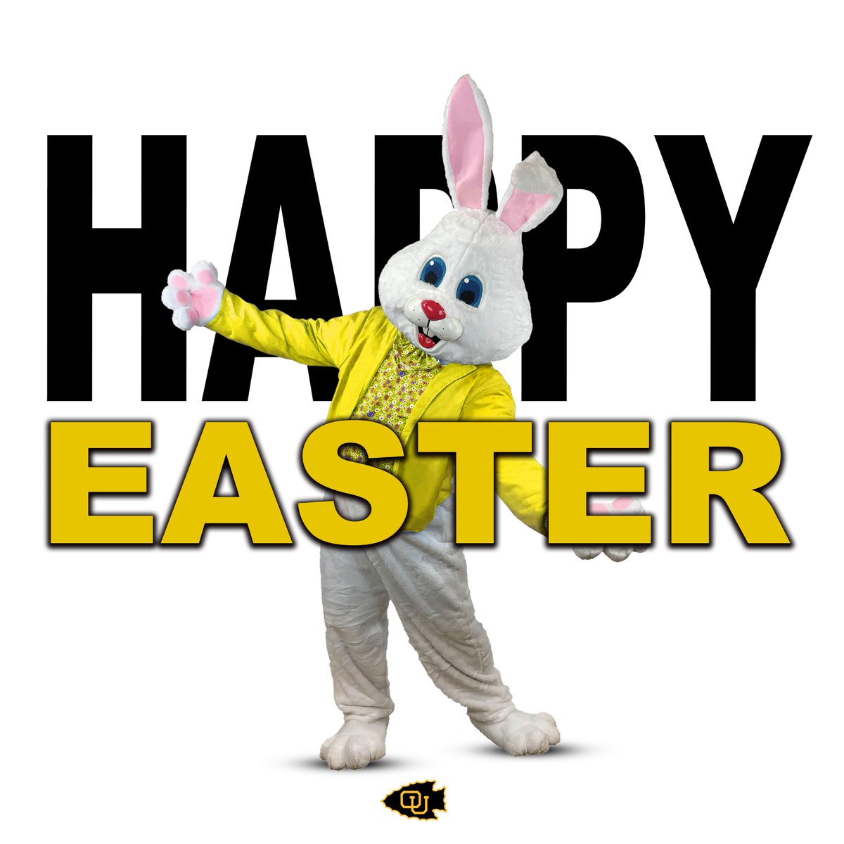 Happy Easter 🐰 #BraveNation