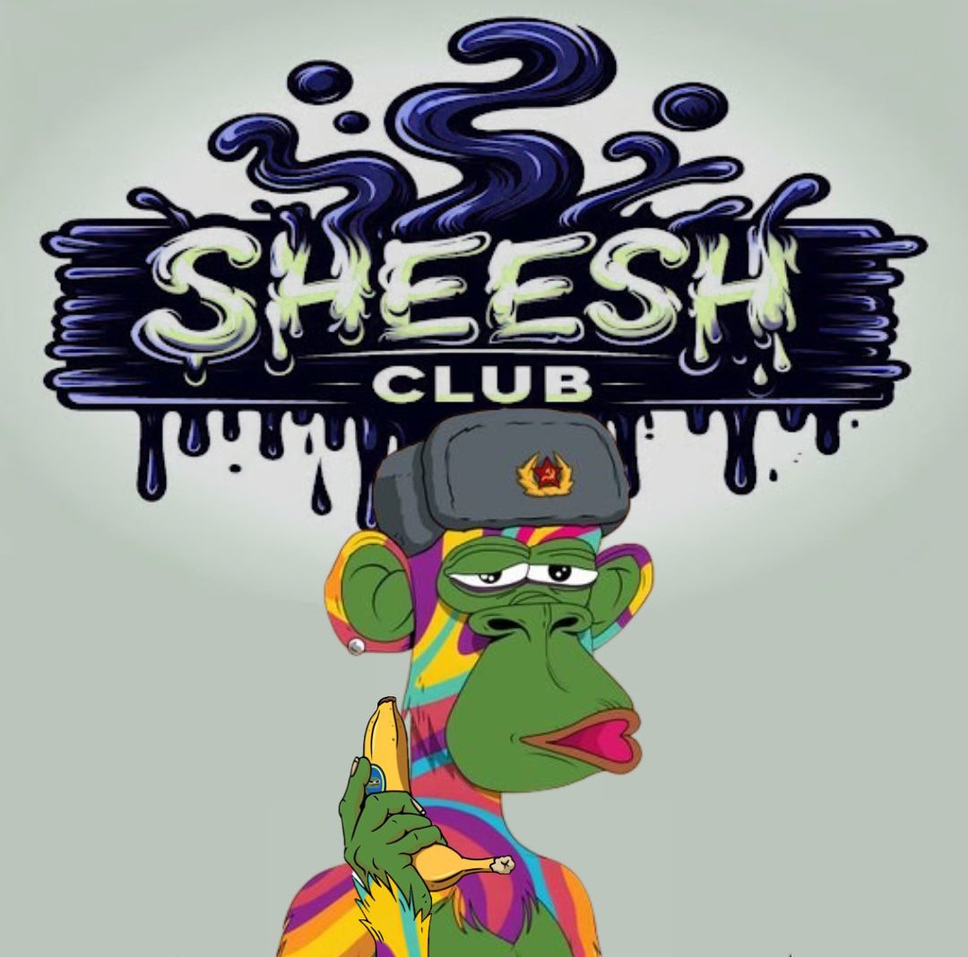 Are you dialed in?
$Sheesh #PAYC 
Thanks @no_skillz2c
For an amazing edit ❤️‍🔥