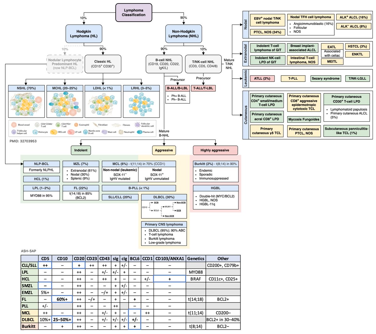 Lymphoma Classification Any suggestions/critiques? @AaronGoodman33 @nihardesai7 @dgermain21 @Eddie_Cliff @CharlesMilrod