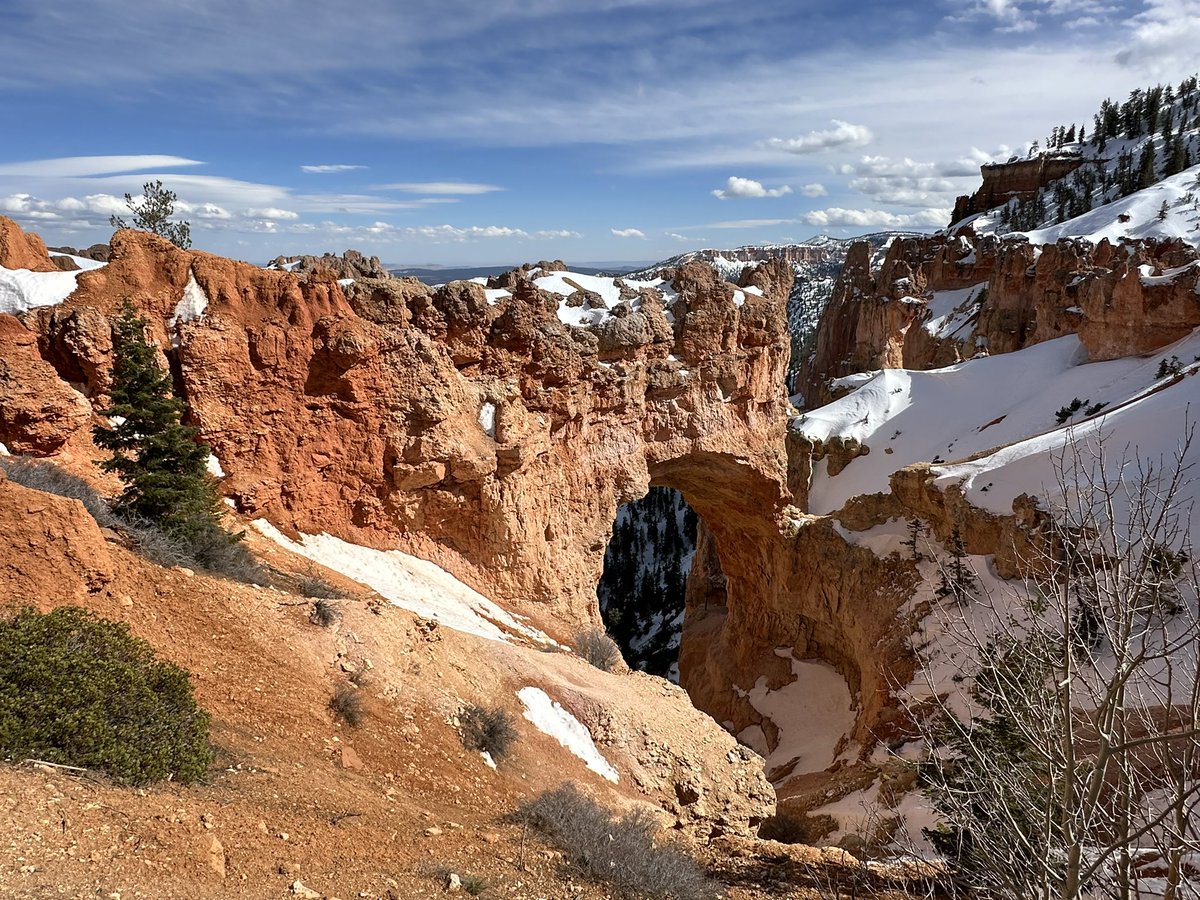 #springbreak #roadtrip to @VisitZionCanyon @BryceCanyonNPS and an amazing slot canyon (Willis Creek Trail, Grand Staircase- Escalante Natl Monument