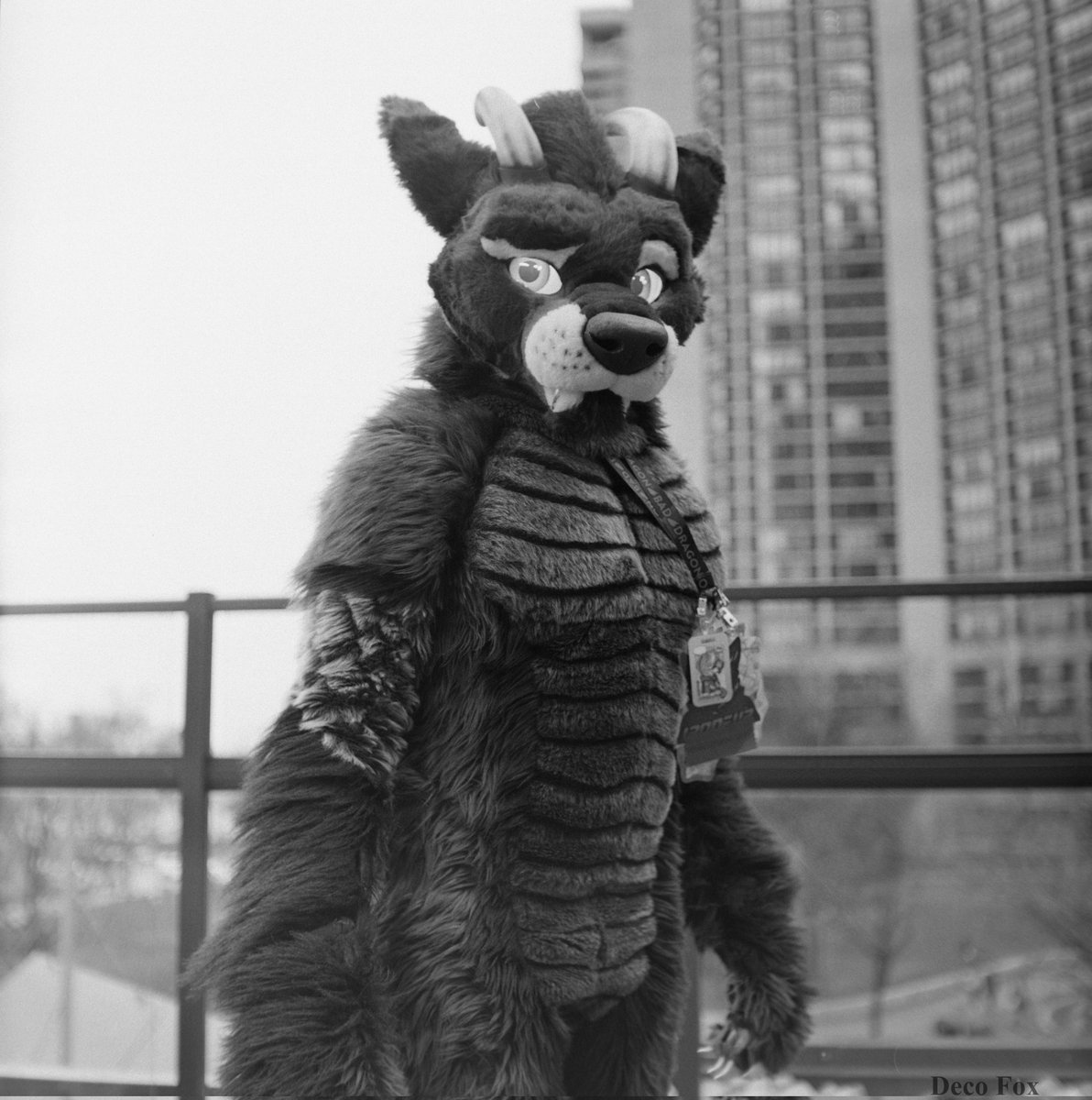 Retro film for #FursuitFriday Pic taken by deco_fox on a Rolliecord iv camera from the 1950's. So many film cameras at ##Furnal2024