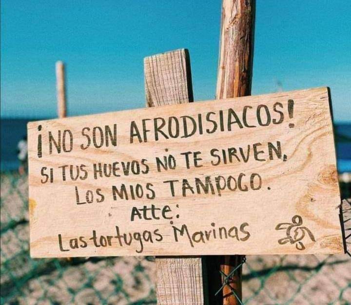 Una excelente campaña 👀