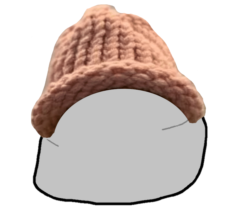 look at my rock $WIF hat