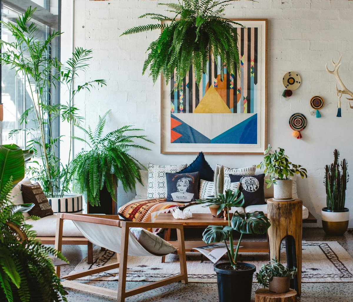 Do houseplants support our mental well-being? Join us on the latest episode of The Radio Psychs as we dive into the research to separate fact from fiction and uncover the hidden truths behind the therapeutic potential of green companionship. Listen anywhere you get your podcasts.