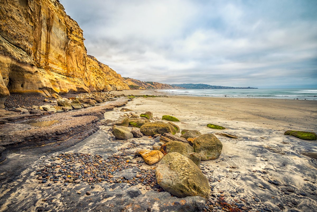 Torrey Pines State Beach. Art available here: saatchiart.com/print/Photogra…
#TorreyPines #LaJolla #wallart #artprints