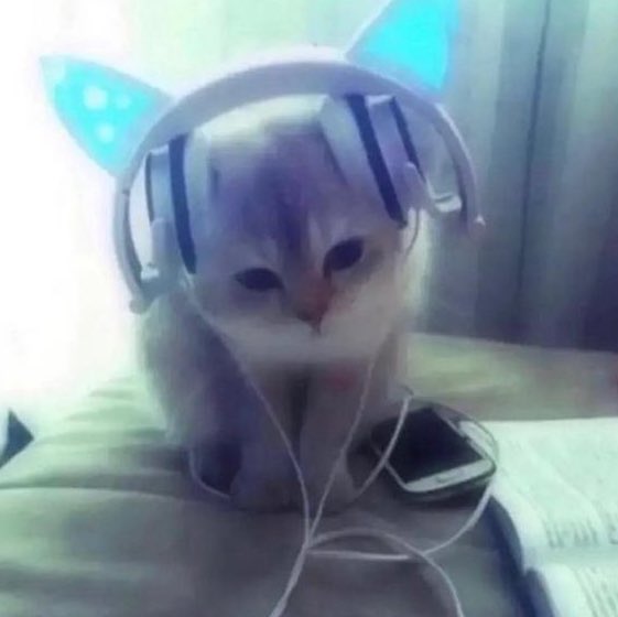 𝕰𝖒 tweet media