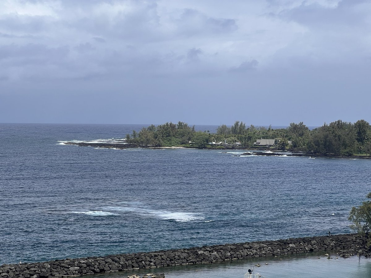 Today was Hilo. It’s the wettest city in the US receiving an avg of 12”/month! Our driver took us down Banyon Tree Dr. which has trees planted by such as Amelia Earhart & F.D.R. Then we went to the farmer’s market and did some shopping. #emeraldprincess #cruiselife #hawaii