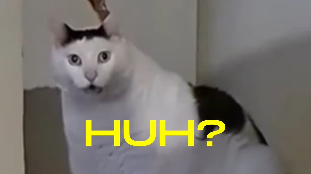 huhcat_meme's tweet photo. HUH at 500k MCAP?
HUH? https://t.co/jfUtPmCsbV