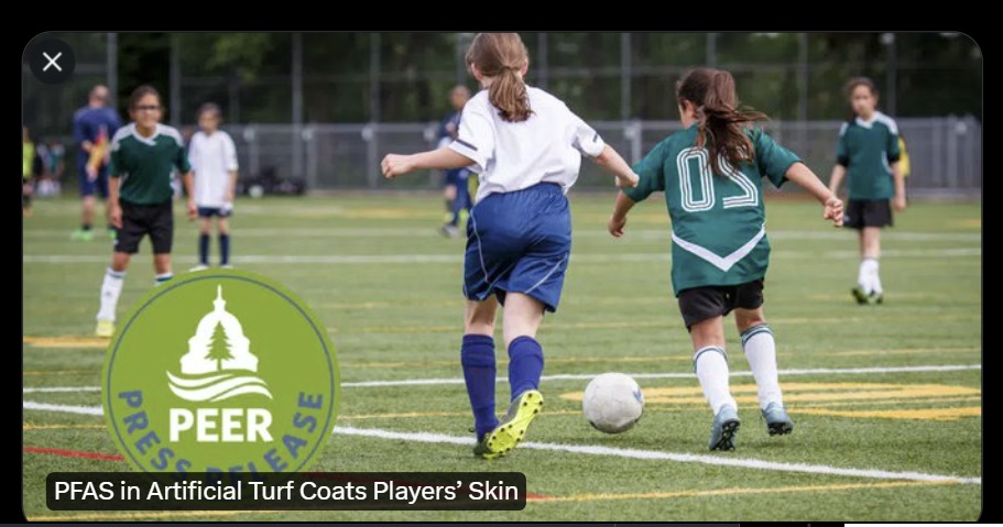 MadhviChittoor's tweet photo. (1/3) Many child/daycare centers, playgrounds r switching to #ArtificialTurf.
Is it really eco-friendly?
1) leaches micro/nanoplastics
2) leaches hazardous/non-biodegradable/bioaccumulating/"FOREVER" chemicals called PFAS
#BanArtificialTurf #ChildRights
https://t.co/59lSEX1smN https://t.co/OLyPcUHkGt