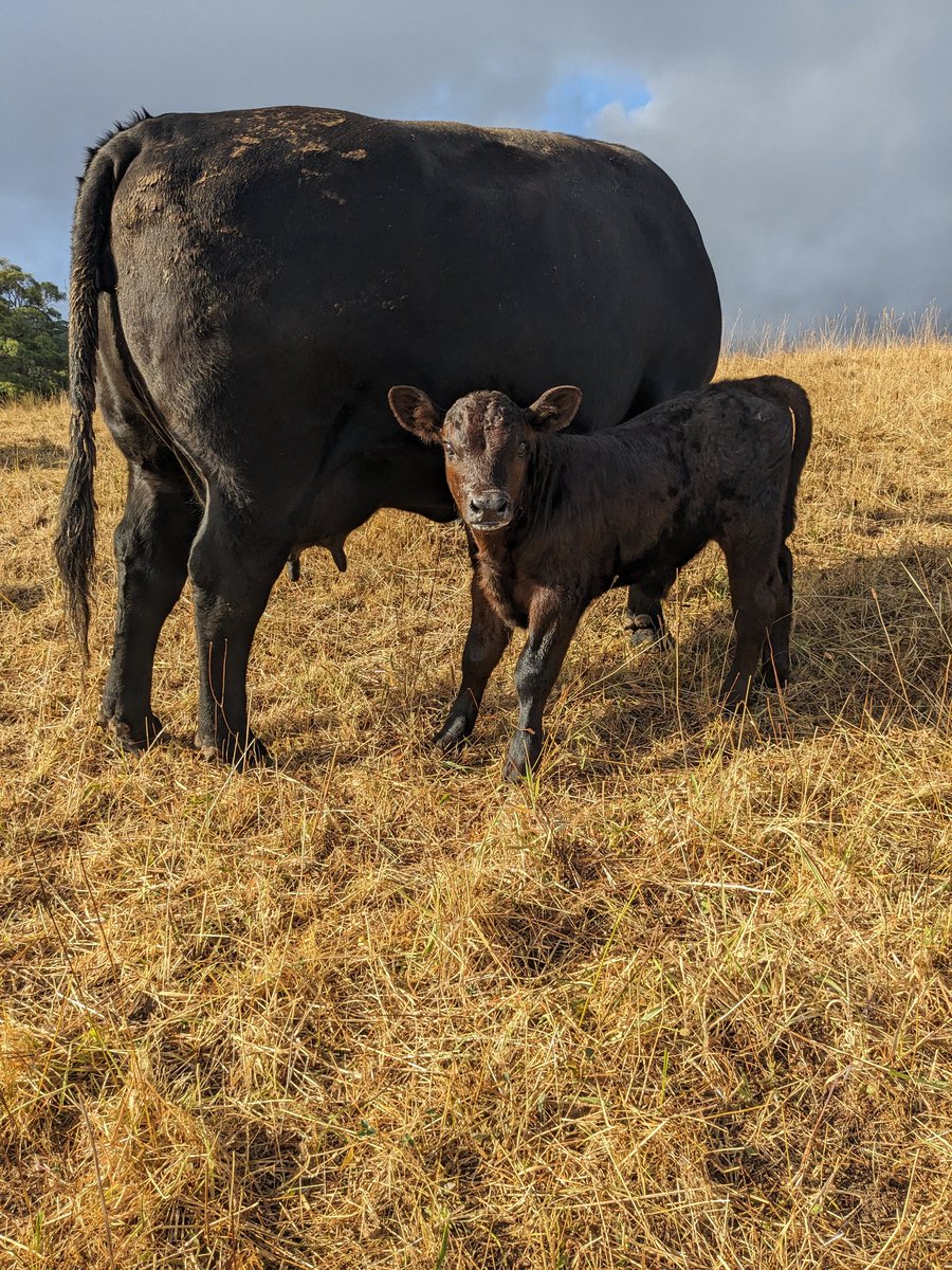 You guys engagement farming 
I'm out here IRL farming 
We aren't the same 

#BLOCK 
#PARAM