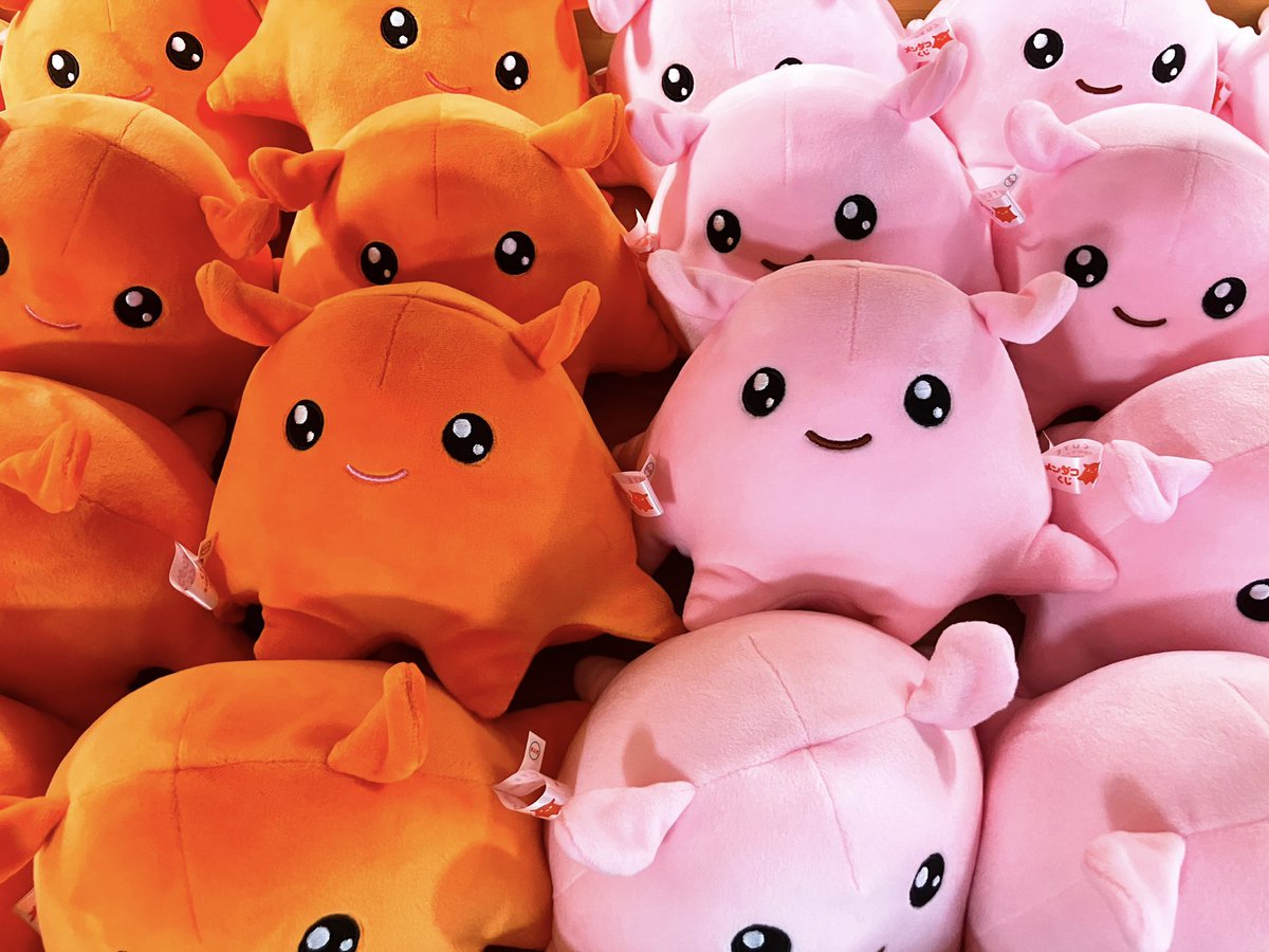 🐙🐙🐙🐙🐙🐙🐙🐙🐙🐙 マルハナ商店のぬいぐるみくじ 今はメンダコたち