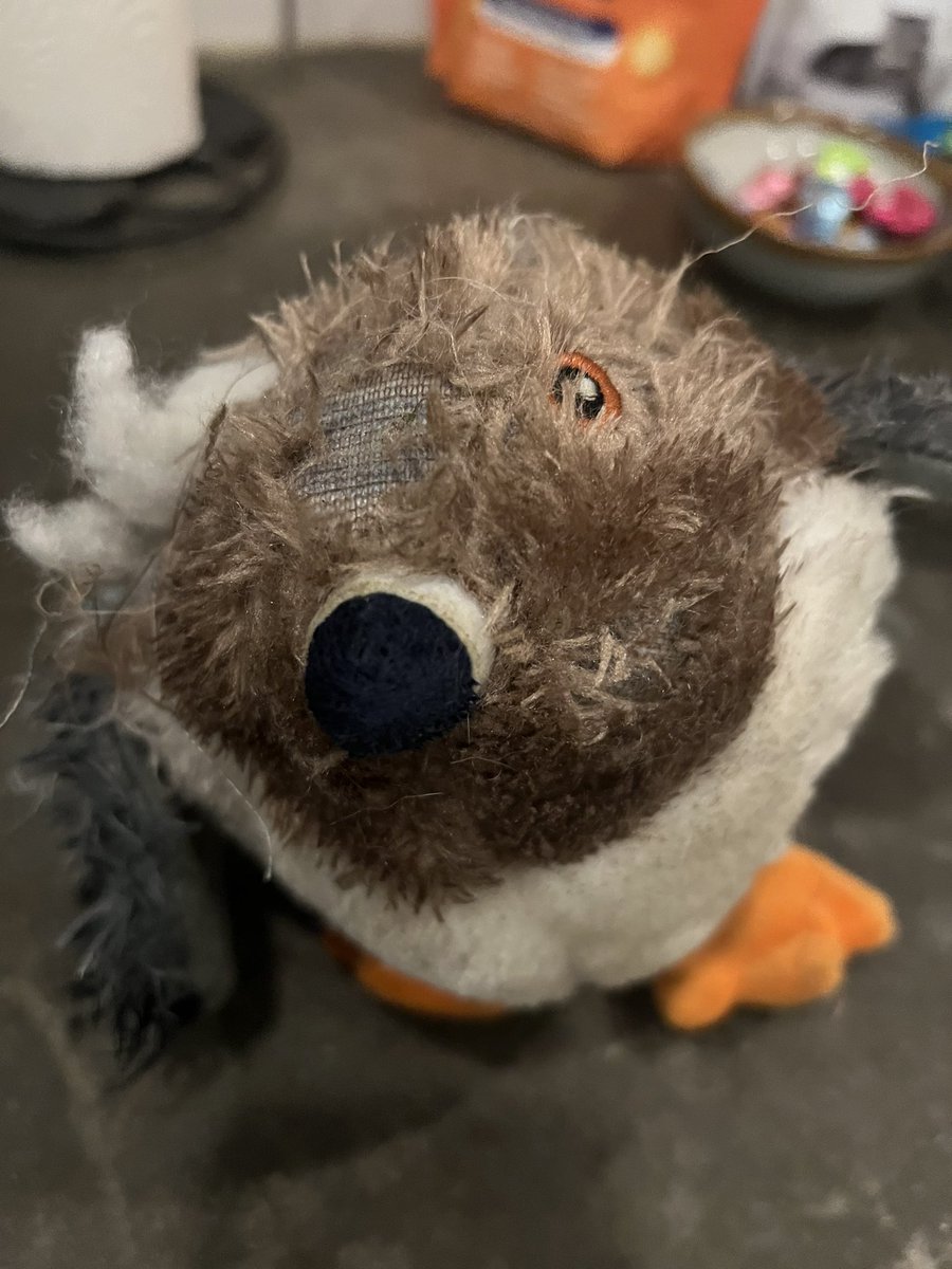 Kerithbrooke's tweet photo. @barkbox the adorable Gideon the Pigeon only lasted about 20 minutes in our house ☹️ https://t.co/6mnRFCgm9s