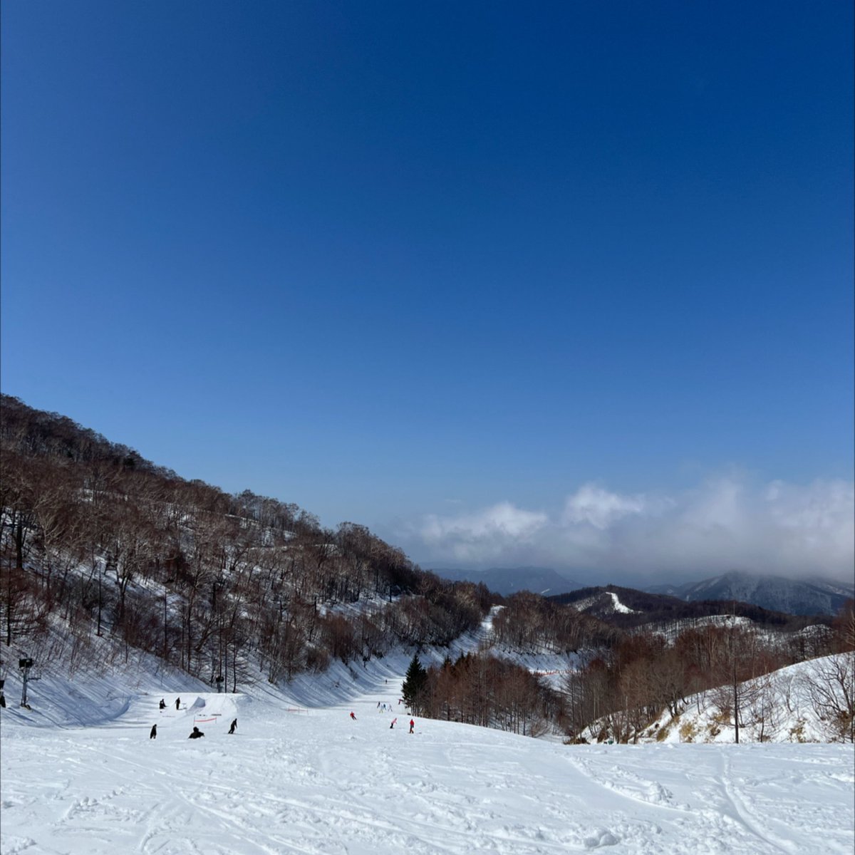 singo405's tweet photo. 投稿忘れてた
川場スキー場で滑走しています。
#SnowTracks https://t.co/uGLgzUjOOw