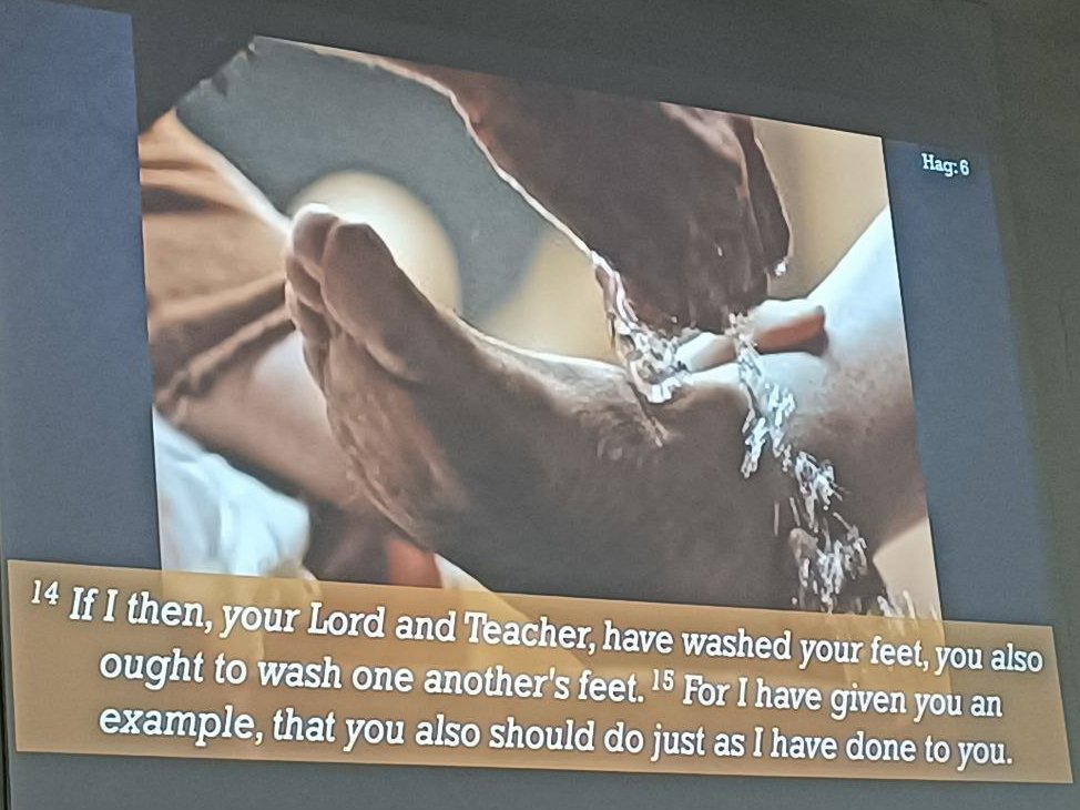 The Court of Saint Pamela tweet media