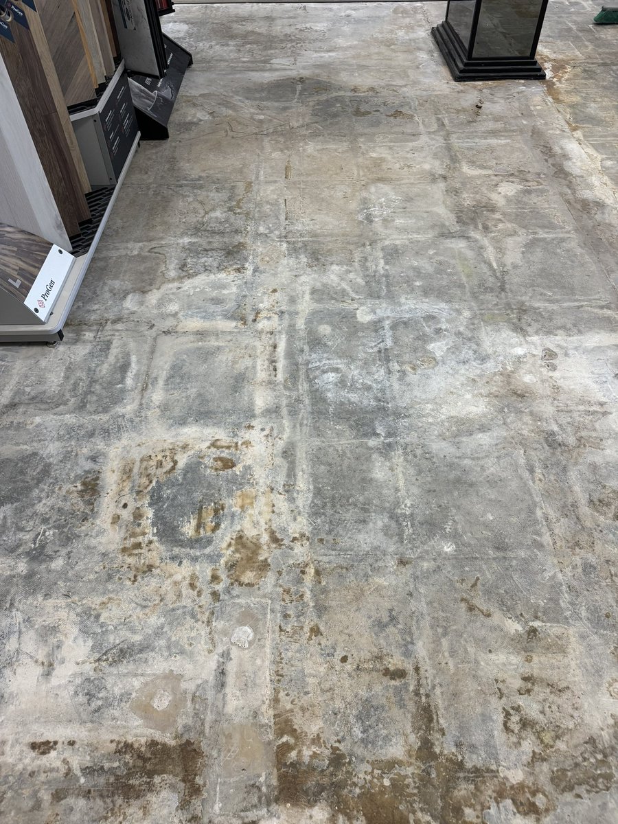 We’re finally getting ready to change the flooring in our showroom…

Now that we know there is high moisture content in this floor, the first step is getting it painted with a mold & mildew waterproof paint! 

southbroadpaintcenter.com
#southbroadpaintcenter #wallingfordct