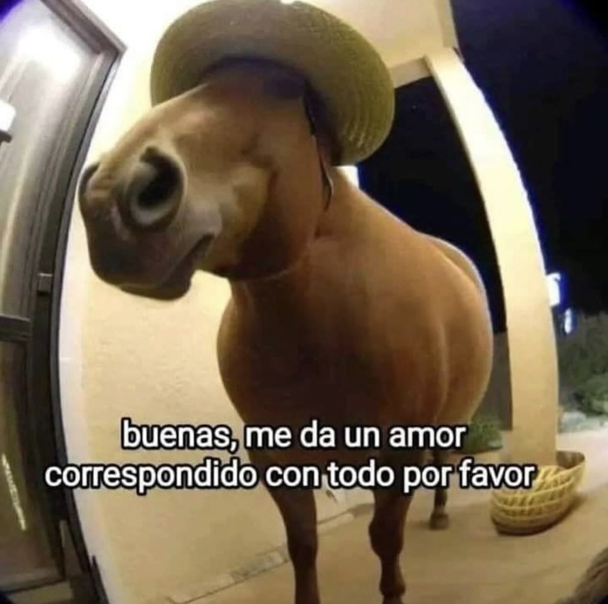 triste y con ganas de morirme ☹︎ (@cxrrly) on Twitter photo 