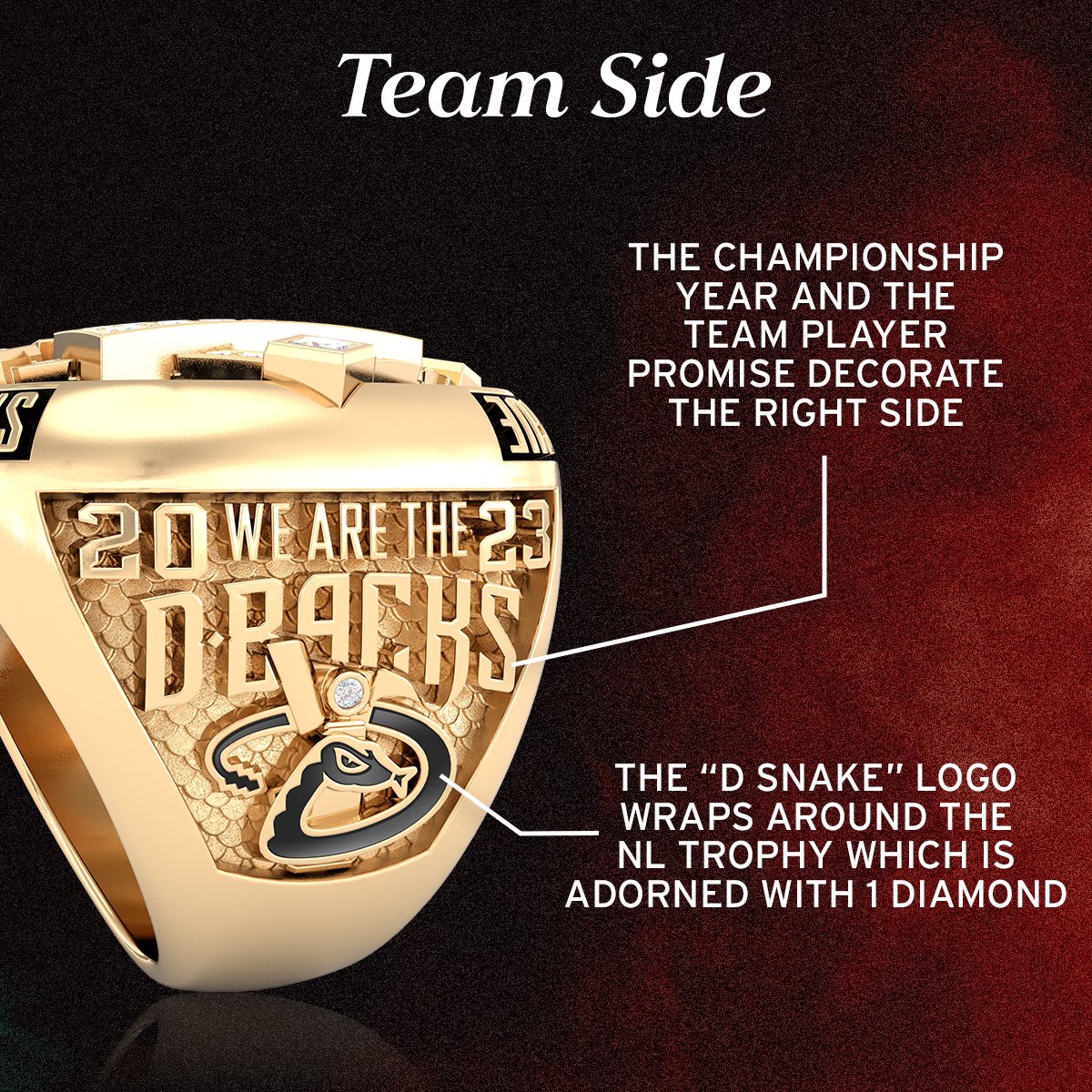 Dbacks's tweet image. We personally LOVE the #EmbraceTheChaos with the snakeskin on the side. 🐍🔥