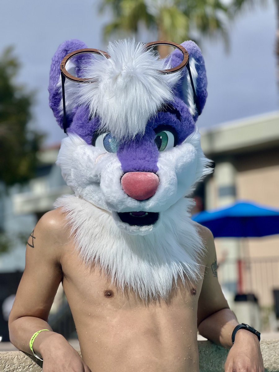 The water’s nice n cool! ☀️😎🏝️ 
#FursuitFriday #LVFC