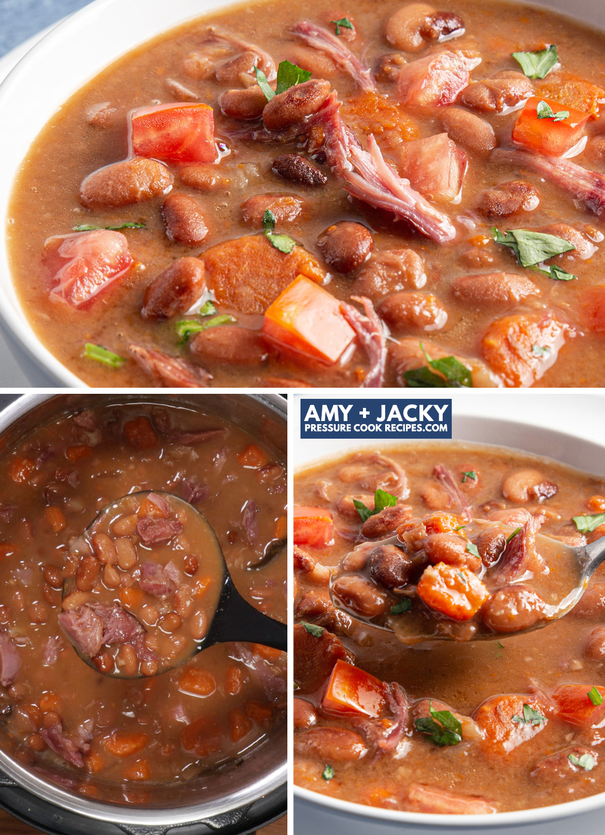 Amy Jacky Instant Pot Recipes pressurecookrec X