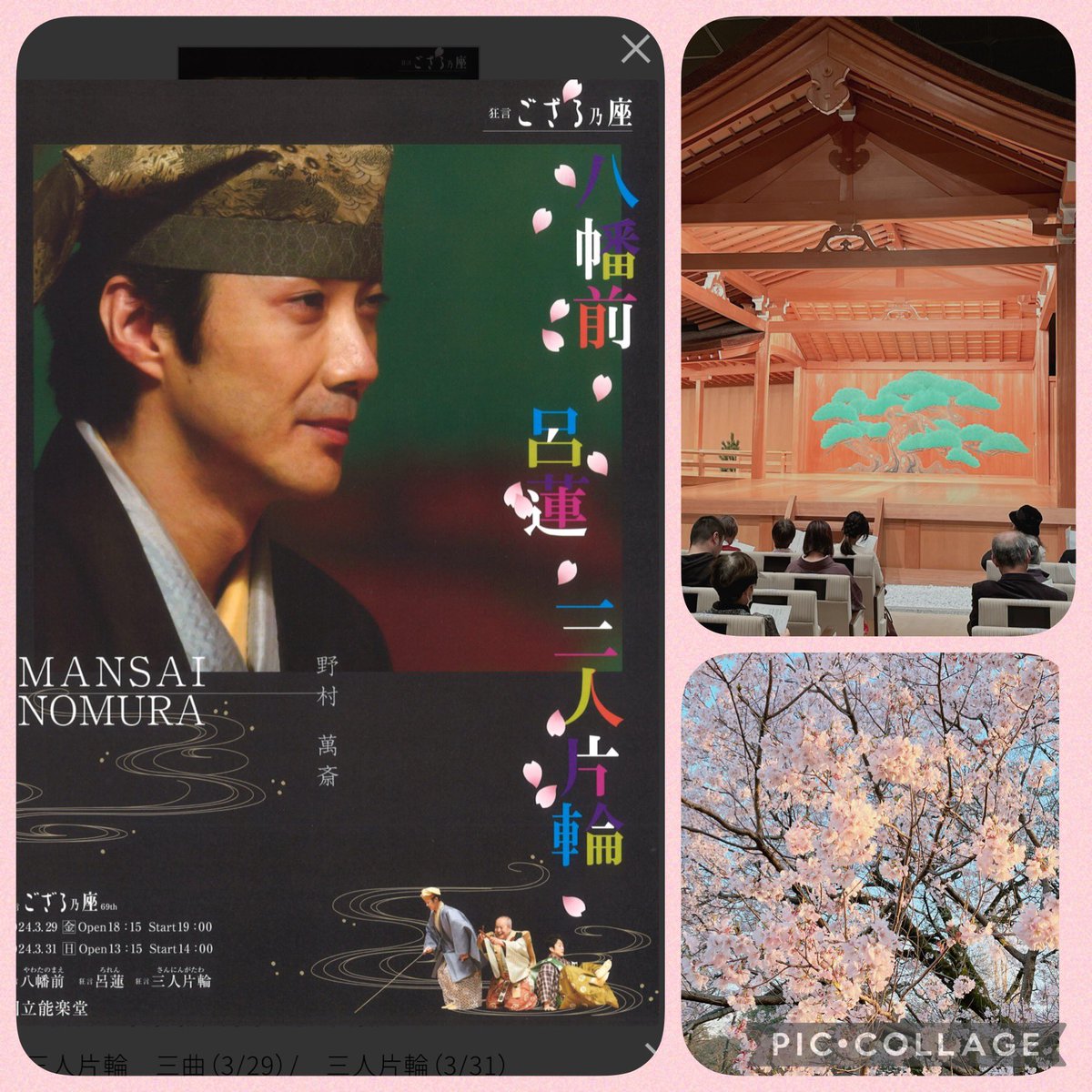 mily3133's tweet photo. 姉の誘いで国立能楽堂に、狂言「ござるの座」を観に行ってきました。
難しいイメージでしたが、面白くたくさん笑いました😆
野村万作さん、萬斎さん、裕基さん三世代で演じられてて、万作さんはおん年92歳！
お元気で素晴らしいです✨

新宿御苑に寄ったら、早咲きの桜がとても綺麗に咲いていました🌸 https://t.co/comWGGBcpl