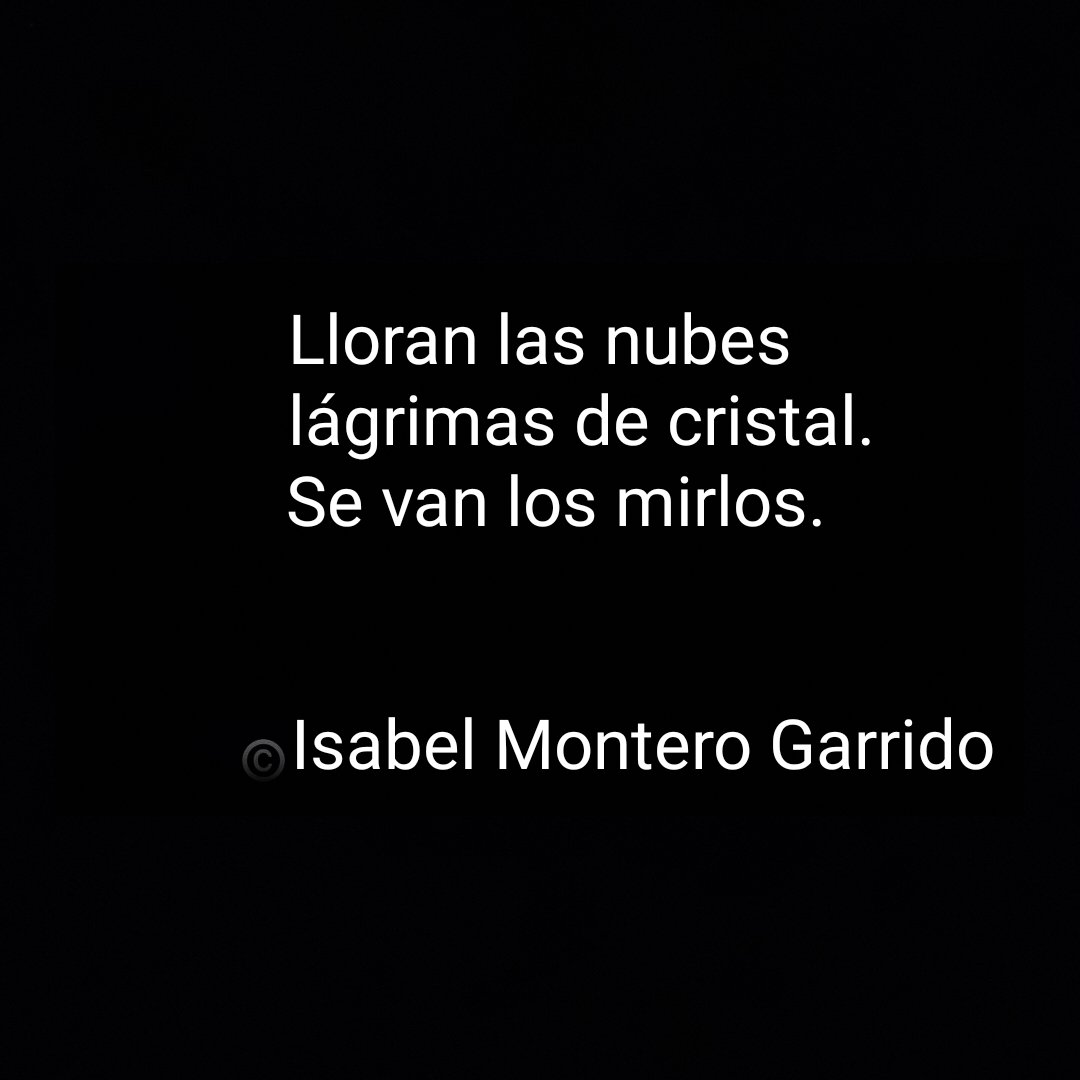 IsabelM39819783's tweet photo. En mitología, los mirlos han sido asociados con leyendas y creencias, convirtiéndose en un símbolo de misterio y sabiduría. Sería interesante ahondar en el significado espiritual de este haiku. 

¿Te atreves?
Déjame tu interpretación. 

#haikus #mirlo #naturaleza https://t.co/cTDCH1VrTc