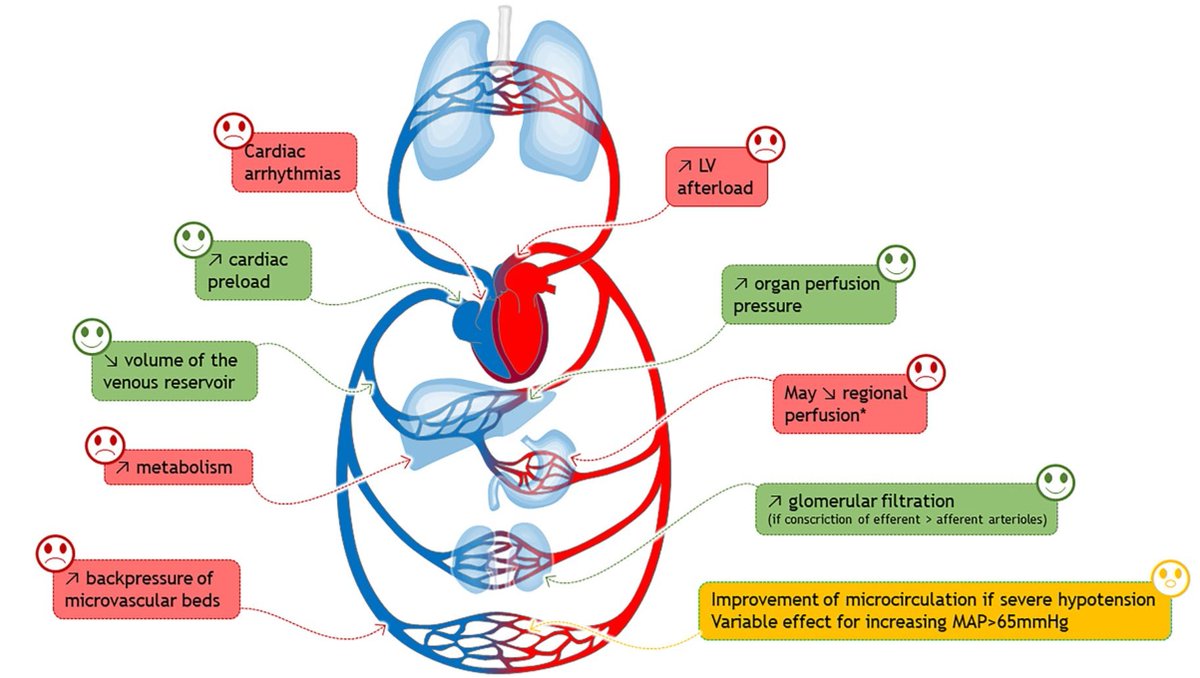 IMCrit (@im_crit_) on Twitter photo ICU Hemodynamics:
The pros and cons of vasoconstriction in septic shock (from <a href="/yourICM/">Intensive Care Medicine</a>): ICU Hemodynamics:
The pros and cons of vasoconstriction in septic shock (from <a href="/yourICM/">Intensive Care Medicine</a>):