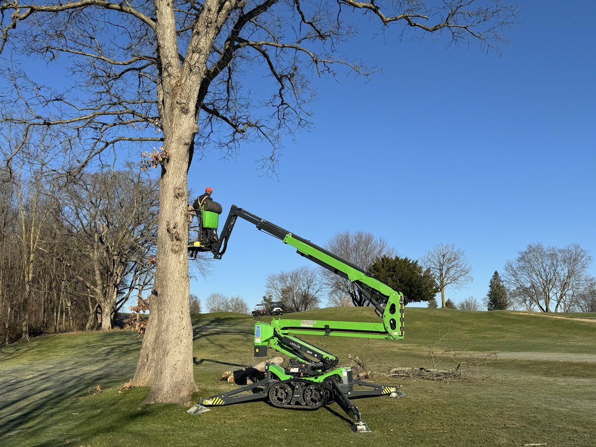 View of the Day! Final day of tree trimming here @gulllakecc after a month rental of this beautiful machine.. We visited most every tree on property this past month, trimming suckers, low branches & dead hangers. Trees are looking tidy for 2024👌 #GLCC #GullLakeCC #ViewOfTheDay