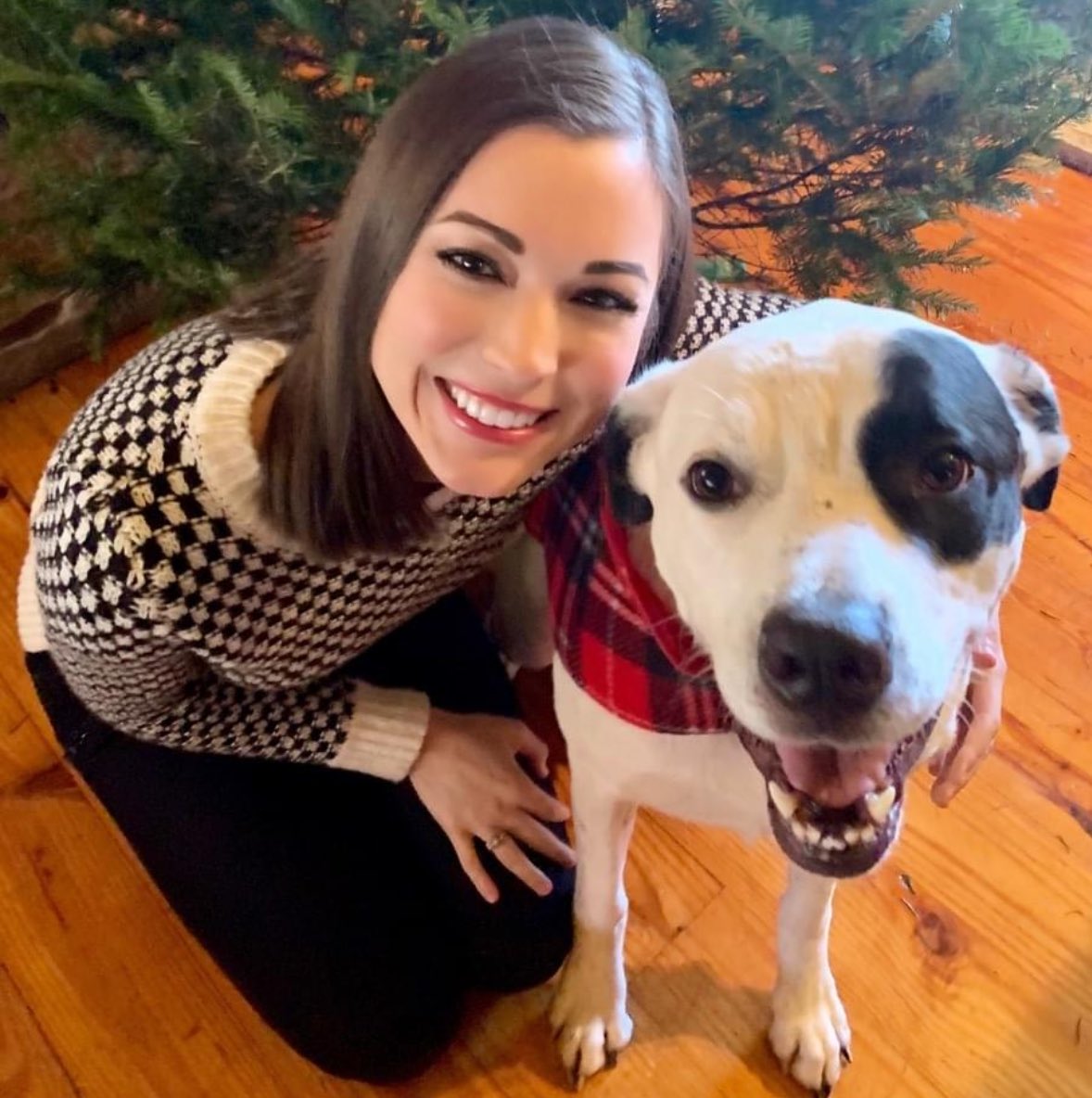 ChanleySPainter's tweet image. Here is one of my rescues 🐾❤️ Sailor with a built in #piratepatch 🏴‍☠️ 🐶