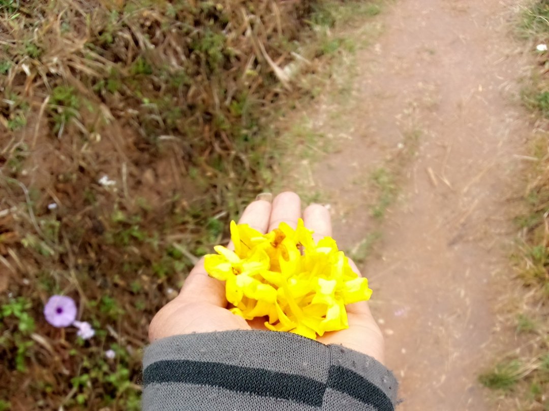 Good morning from kavre......🌸💛