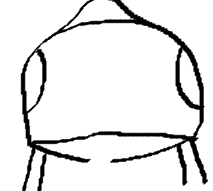 @KeareCryos orca that stares at you