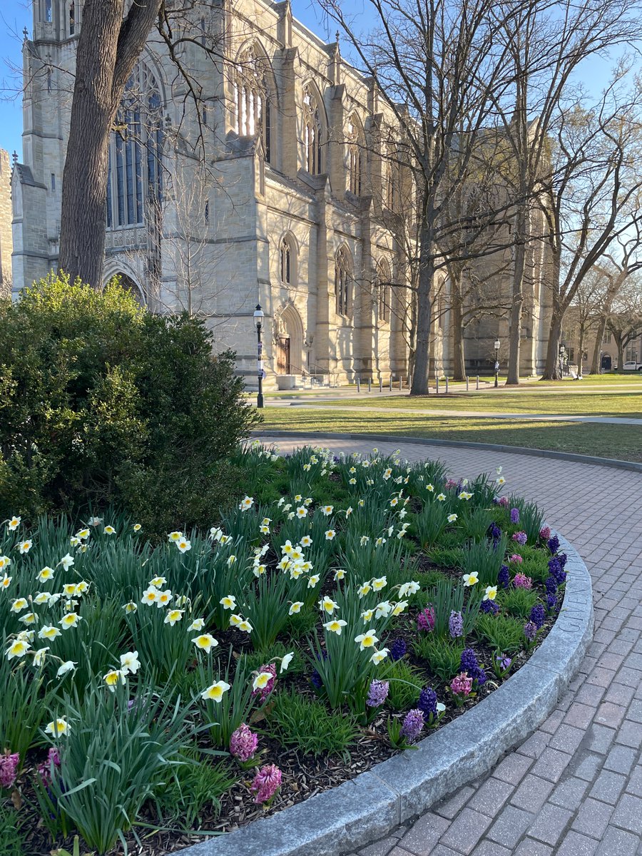 Spring at Princeton is absolutely stunning :) A pleasure to speak at the Quantitative Social Science Colloquium - many thanks to @PUPolitics for the invitation!