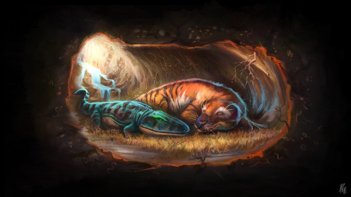 platypupu's tweet image. 트라이아스기 초기의 단궁류인 트리낙소돈과 양서류 브로오미스테가 함께 있는 화석이 발견된 적이 있다.
화석에 남은 흔적은 적어도 트리낙소돈이 미끌거리는 방문객을 적대하지 않았음을 보여준다.
이유는 알수 없지만,
둘은 함께 있었고 함께 잠들었다. 영원히.