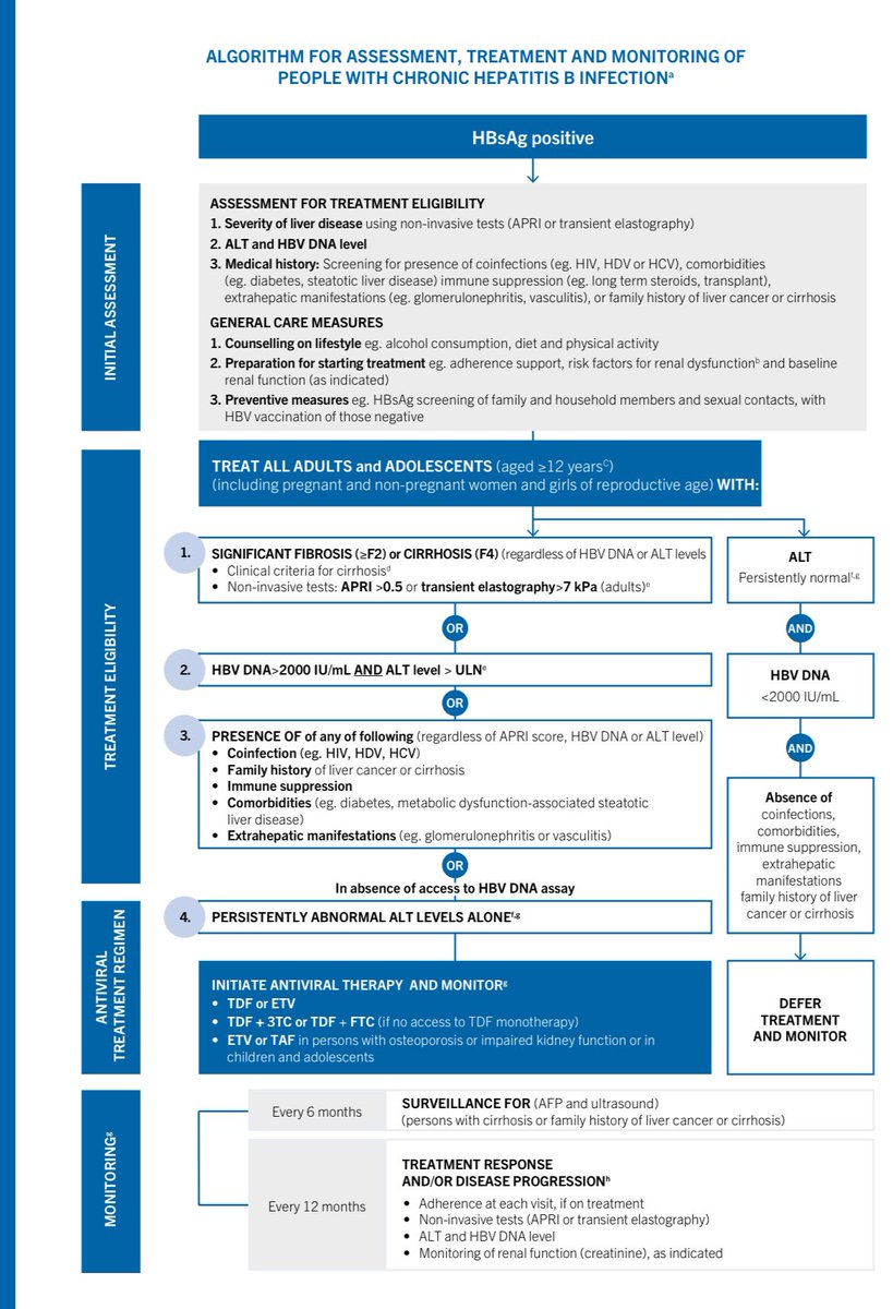 New @WHO #HBV guidelines released today at #APASL24! -Expanding treatment eligibility for many people living with #HepB -New option to treat w abnormal ALT if no access to HBV DNA test (barrier in many settings) -Adding adolescents over 12 years 👇 who.int/publications-d…