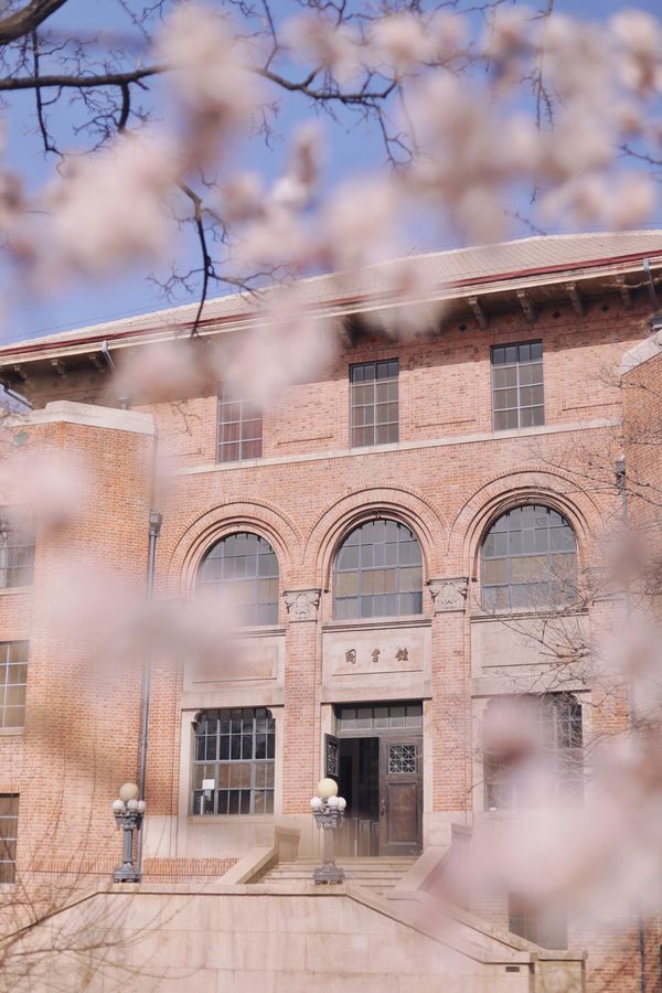 Tsinghua University tweet media