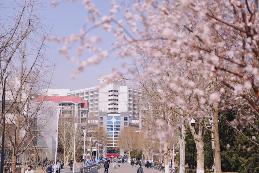Tsinghua University tweet media