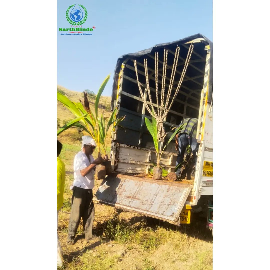 sarthHindo's tweet photo. Miyawaki Afforestation project completed recently at Pune Maharashtra, by team @sarthhindo
1000 plants micro forest ia under establishing!!

#Save_Environment, #Save_Future
#sarthhindo 
#sarthhindofoundation 
#sarthhindo_foundation 
#yuvamitra 
#csr https://t.co/Jn6pbiCnbJ