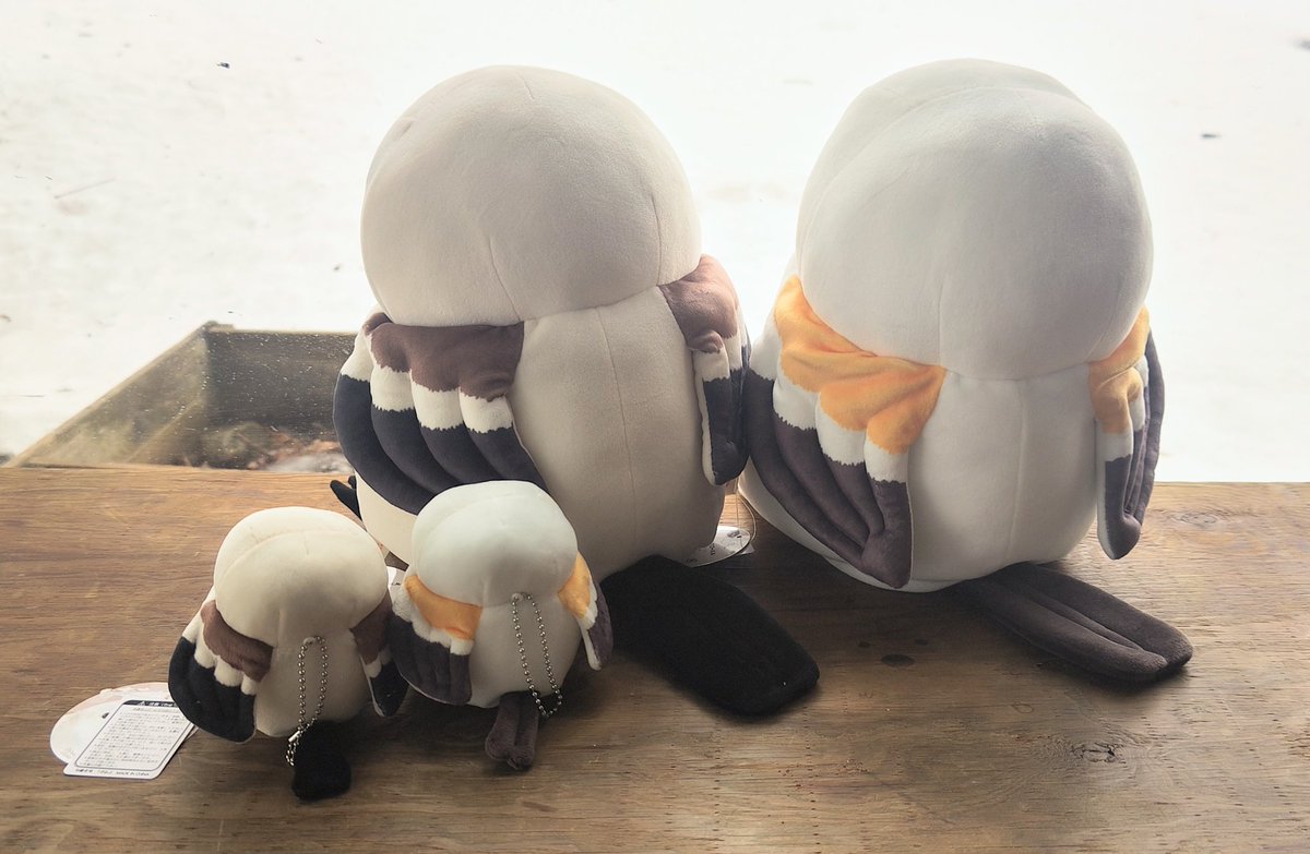 円山動物園オフィシャルショップ on X: 