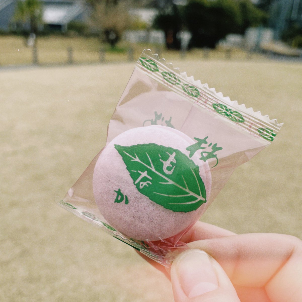 umeshio_desu's tweet image. 📣満開の予定だったよね

先週、寒空の中お花見に行った話をしています。花曇りと考えれば風流とも言えるかも。

花見の予定たてるの困難〜
#Radiotalk #あぶらうってこ
radiotalk.jp/talk/1151017