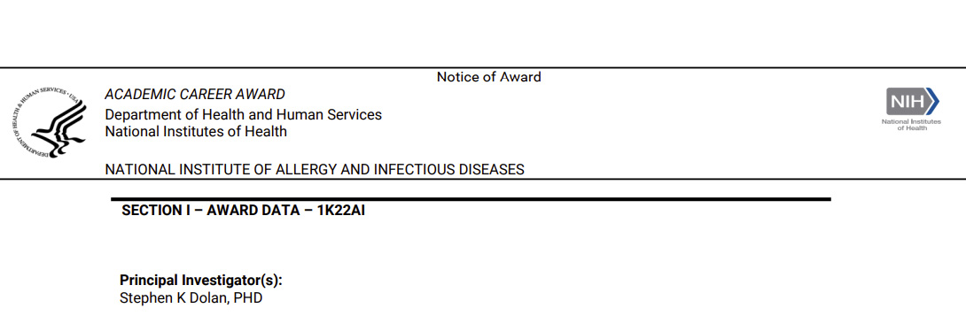 Stephen Dolan tweet media
