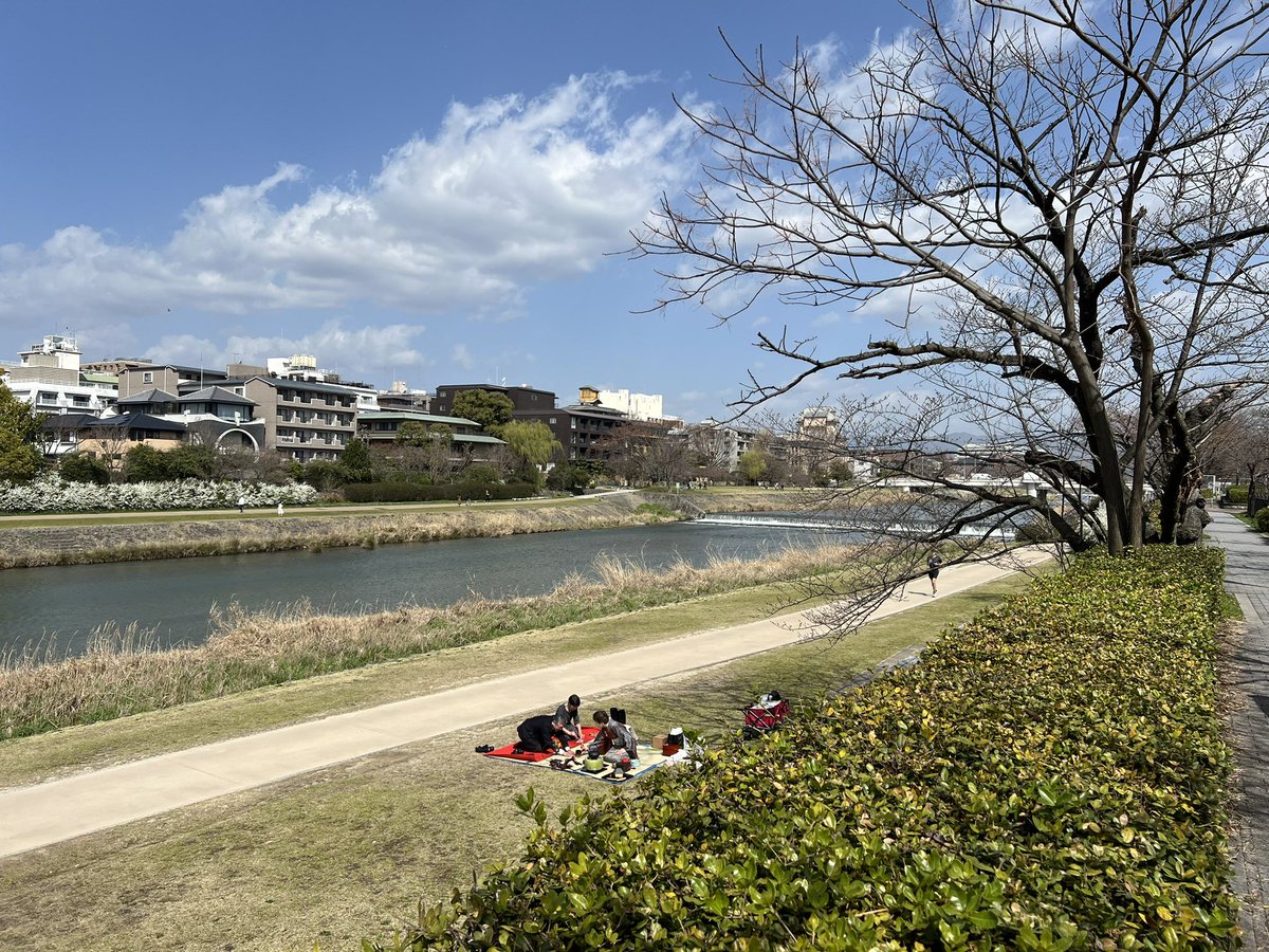 土日に大阪で仕事のため帰国して、実家に泊まる。朝ごはんを食べたら急に眠気（疲れ）に襲われ、「朝の短い時間にどうしても桜を見たかったのに寝坊する」という夢を見た。

え、今何時？と思って起きたらまだ時間に余裕があり、少しお散歩。まだ全然咲いてなかった笑。天気がいいので開花進みそうね。