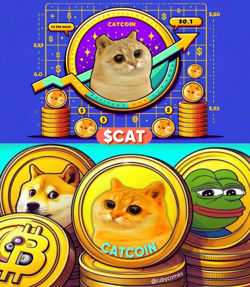 alldexone's tweet photo. @bsc_feedalert 👉#Catcoin (@catcoin ) is king  2024-2025 👑 https://t.co/aDmvMRsLs5
