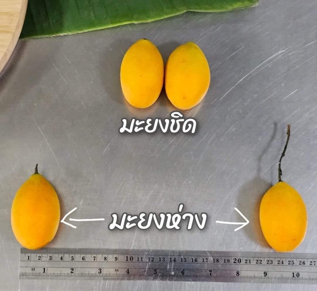 ขอบคุณสำหรับความรู้ครับ