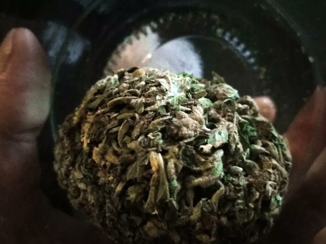 This shrapnel Grenade made of different kinds and Cali 😆

🚫ignore🚫
#ukcannabisculture #420community #420uk #whiterussian #seriousseeds #cannabiscommunity #cannabiseur #cannabisculture #higherconsciousness #hightimes #medicinalherbs #og #maryjane #hybridweed #bongs #gelato