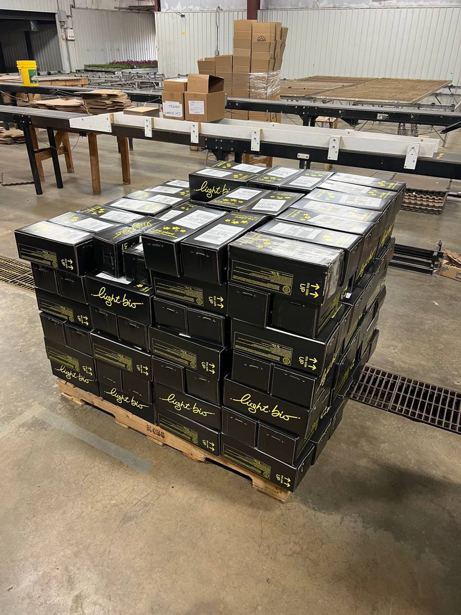 omri_drory tweet media