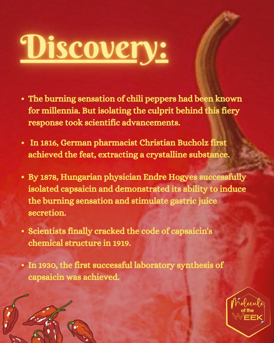 Curie_IISERM's tweet photo. MOLECULE OF THE WEEK :   

Capsaicin - It is the principal pungent ingredient of hot red and chili peppers that produces a burning sensation .

#Moleculeoftheweek #IISERs #Molecule #Chemistry  (1/2) https://t.co/cBhtcobteP