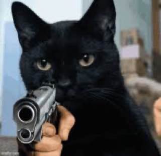 mobsolana's tweet photo. @PixelRainbowNFT Grab the catnip or I shoot 

CJxTepVoBb5wAhC2hHLBNtoFCGcGd4fR1CYvW1QbdfzV https://t.co/FM96dpDkB2